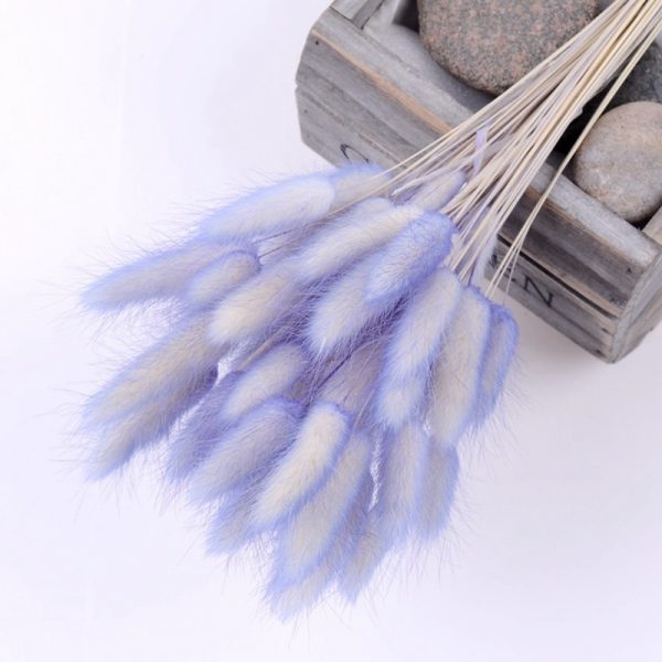 Natural Dried Flowers Rabbit Tail Grass