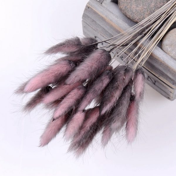 Natural Dried Flowers Rabbit Tail Grass